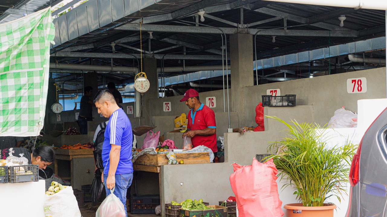 IMG_2022 de tamaño grande