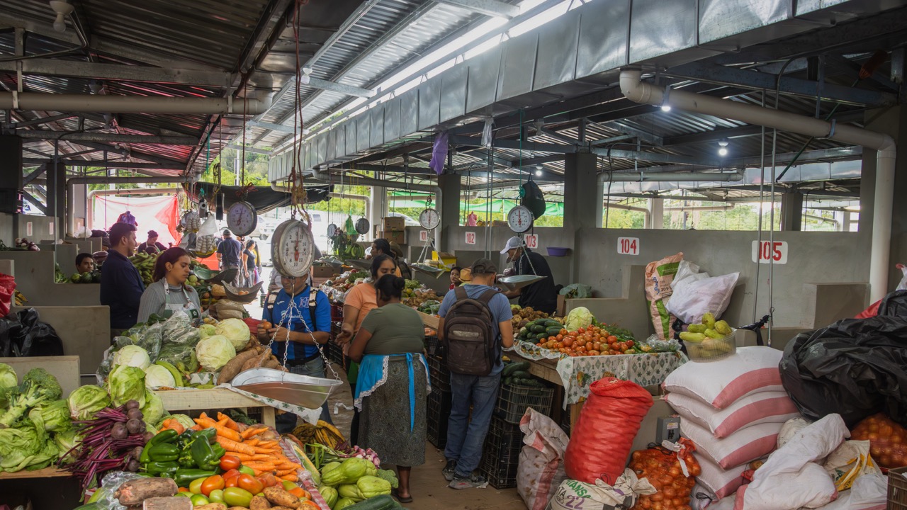 IMG_2073 de tamaño grande