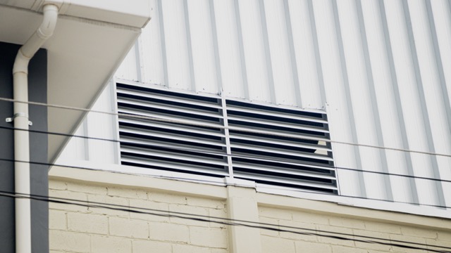 IMG_2159 de tamaño mediano